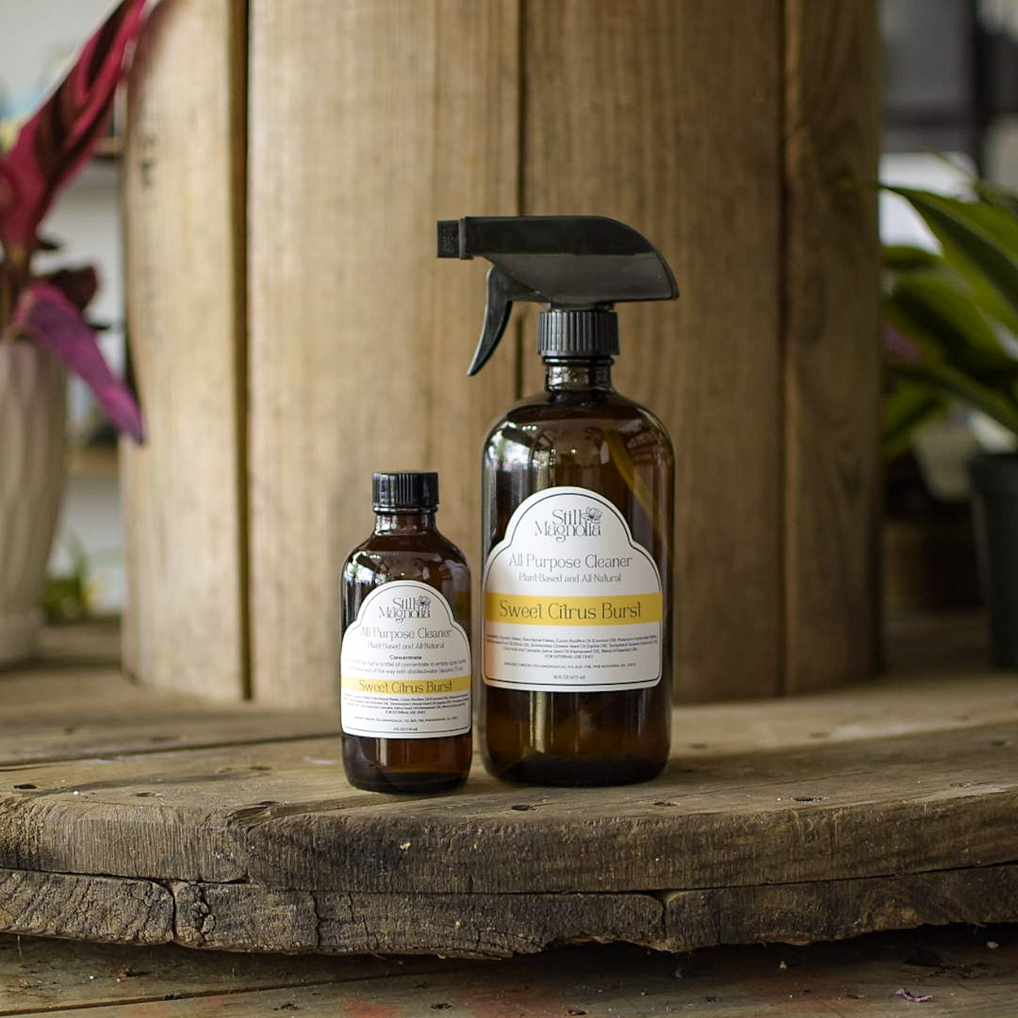 All Purpose Cleaner - Sweet Citrus Burst